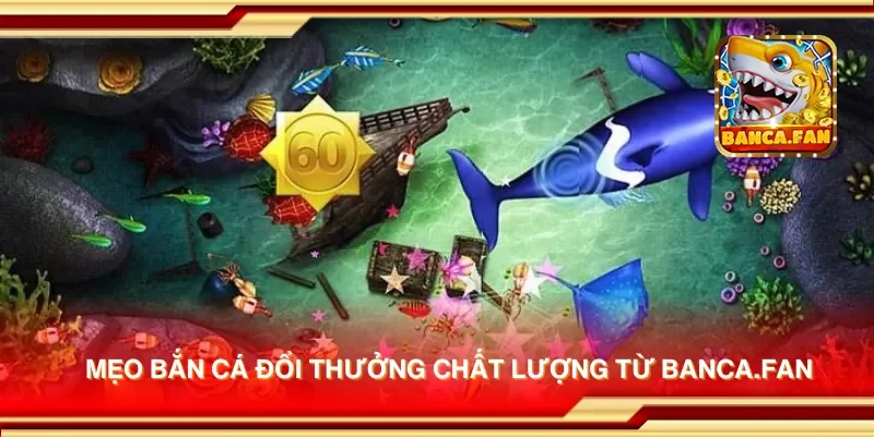 Mẹo bắn cá đổi thưởng chất lượng từ drhimanshumehta.in
