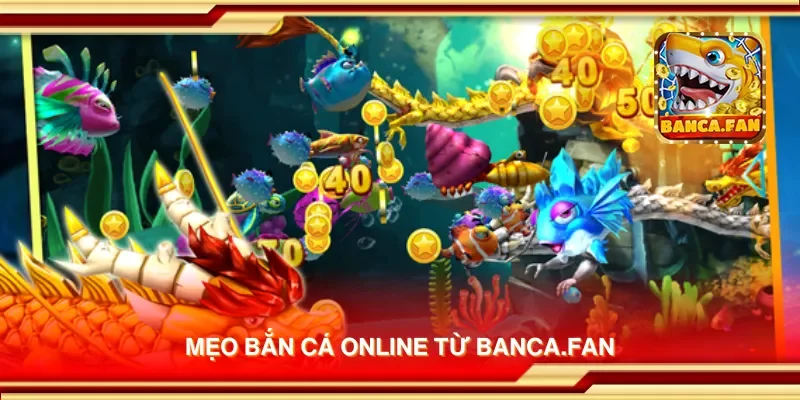 Mẹo bắn cá online từ drhimanshumehta.in