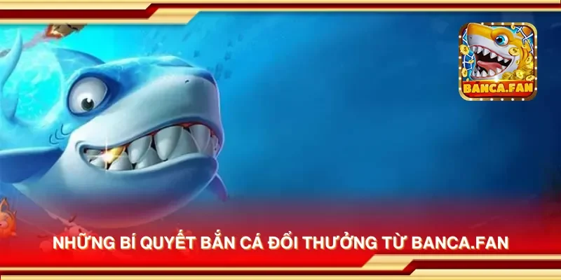 Những bí quyết bắn cá đổi thưởng từ drhimanshumehta.in