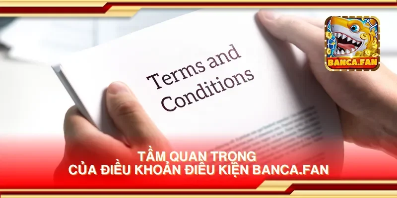 Tầm quan trọng của điều khoản điều kiện drhimanshumehta.in