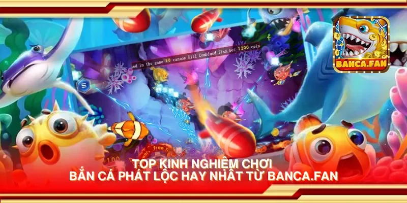 Top kinh nghiệm chơi bắn cá phát lộc hay nhất từ drhimanshumehta.in